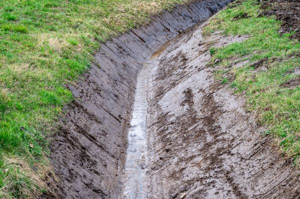 Drainage Field Repair
