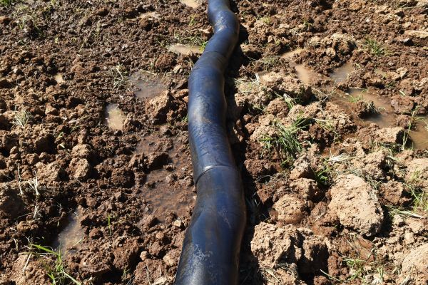 Drain Field Assessment